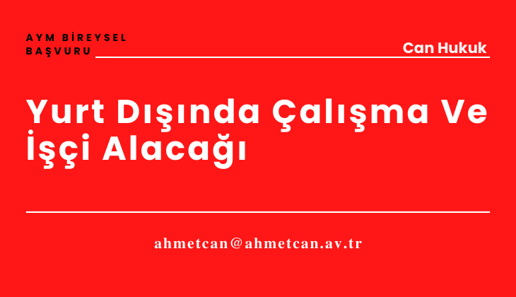 Yurt D ilik Alacaklarnda veren irketler Arasnda Tzel Kiilik Perdesinin Kaldrlmas